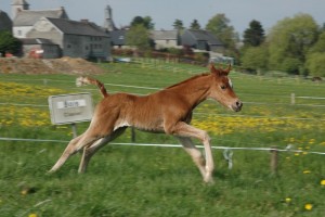 Almeria Kheersik x Oumizil Tobiha à 7 jours