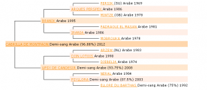 pedigree Cabrilla de montpaon