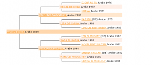 pedigree Vahopi d'olt